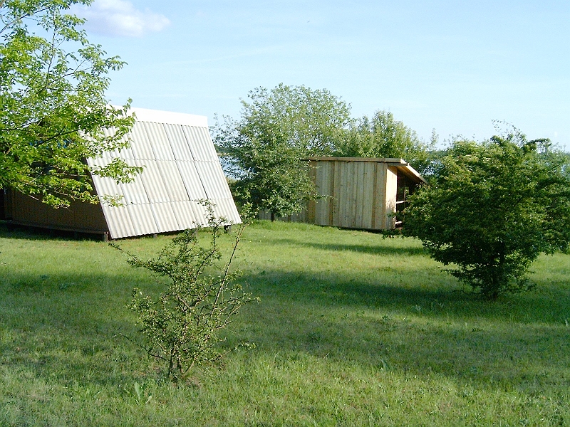 20100606 014.jpg